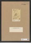 Triceratium coscinoides Grove et Sturt. (de-Toni-Nr.: Genus 140, Species 3733) Zeichnungen Sammlung Grunow Nr. 7244 (NHMW-BOT-W0376243)